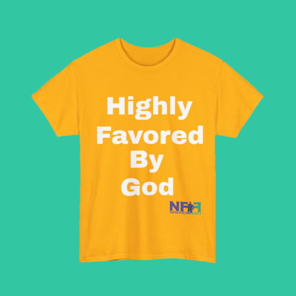 Highly Favored by God (Unisex Shirt) - Image 5