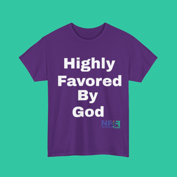 Highly Favored by God (Unisex Shirt) - Image 6