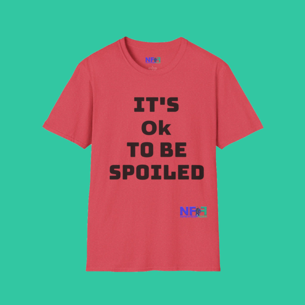 It's Ok To Be Spoiled (Boys or Unisex) - Image 4